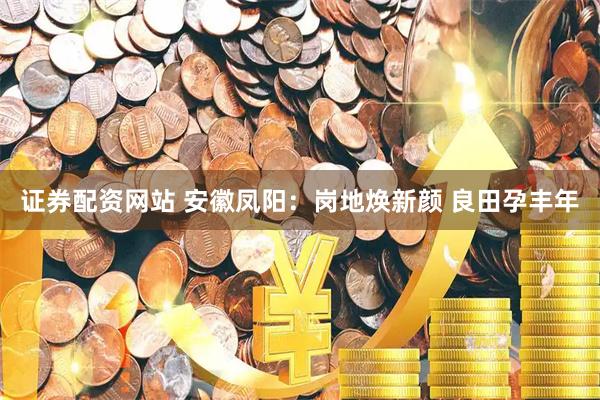 证券配资网站 安徽凤阳：岗地焕新颜 良田孕丰年